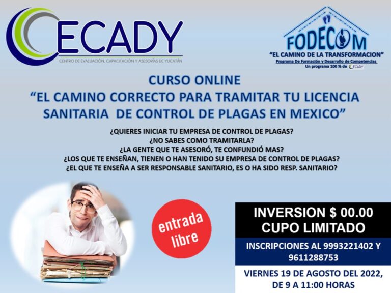 Promoción