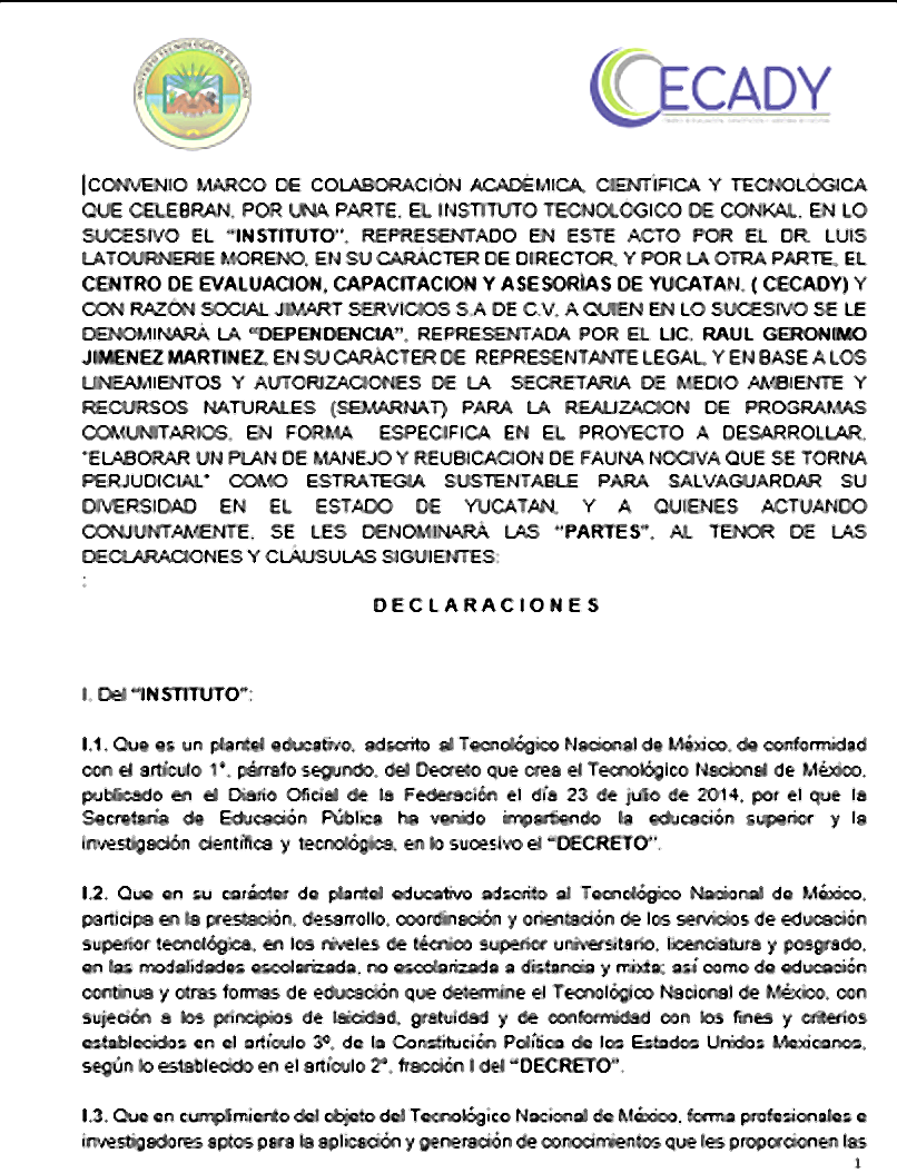 Reconocimiento 8